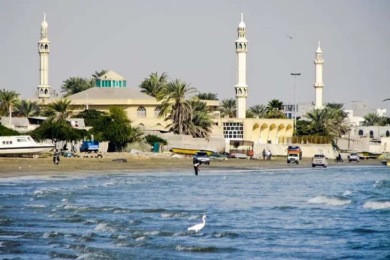 زمین ساحل سورو