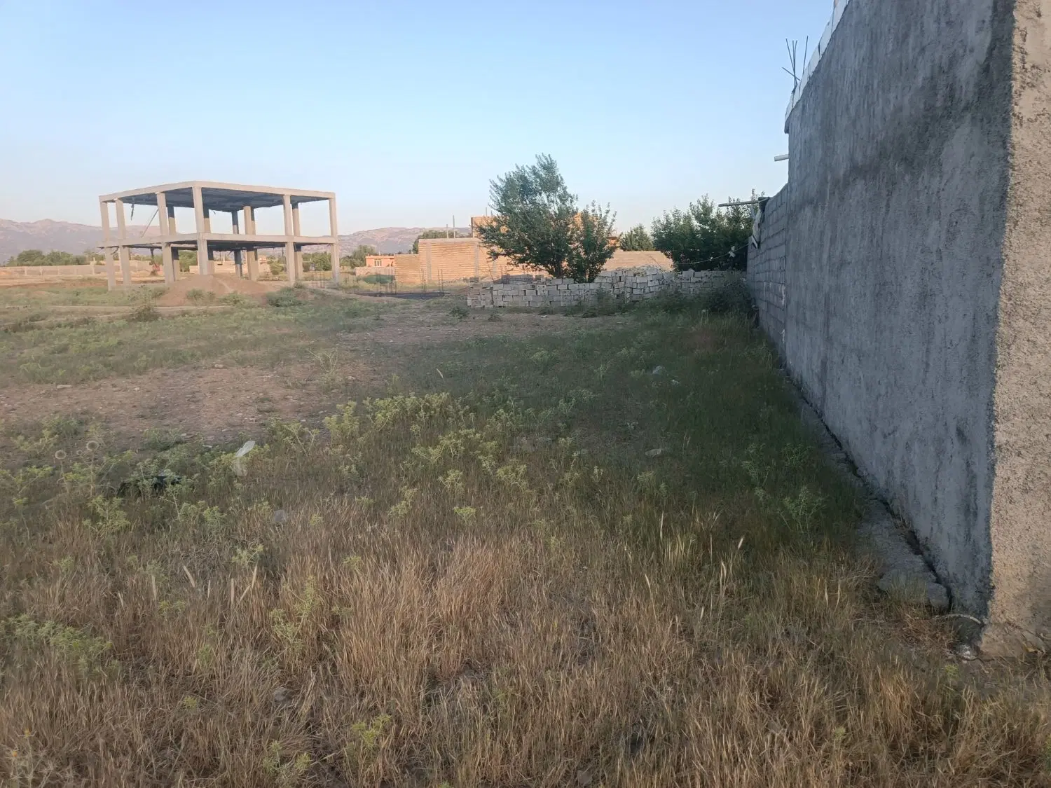 زمین موردراز وسطی
