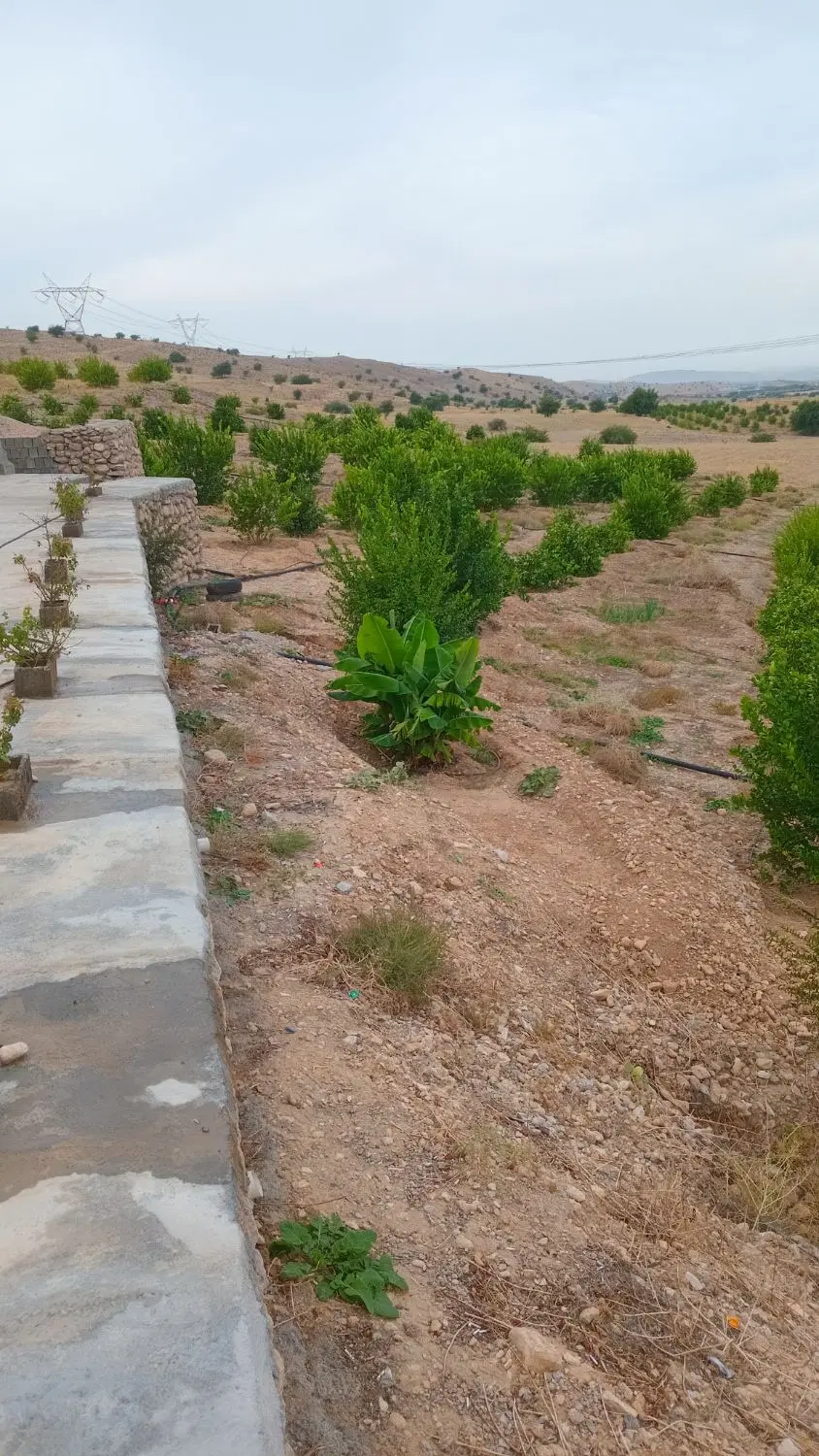 فروش باغ ثمری