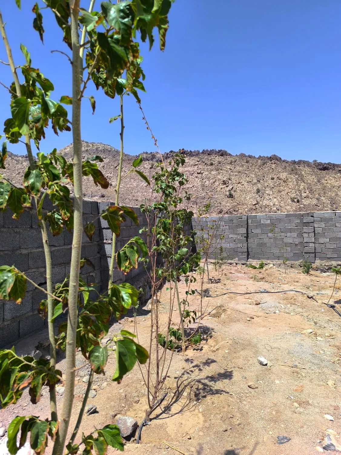 زمین چهاردیواری منزل آب
