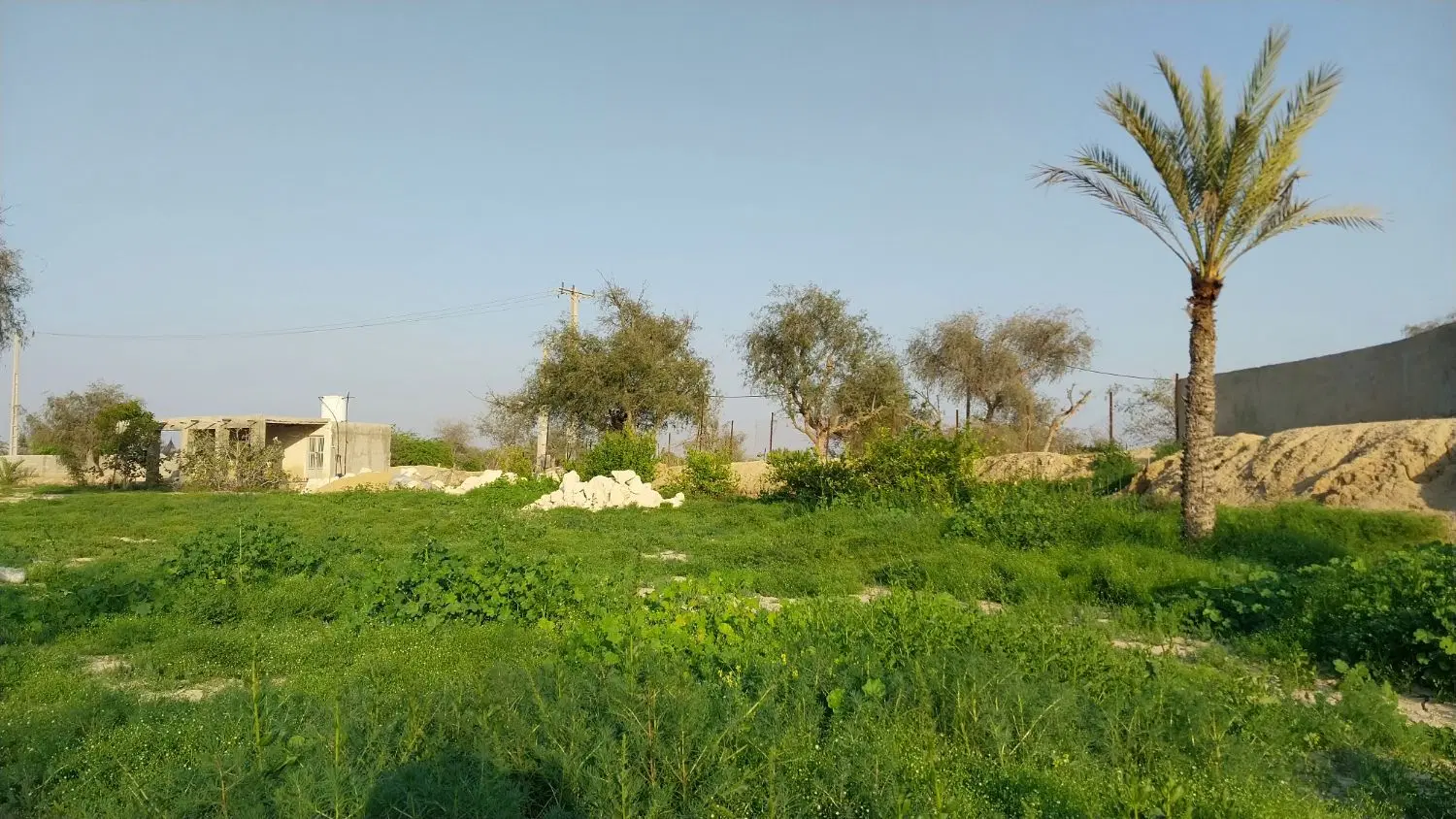 خانه باغ  کوشه کاروان