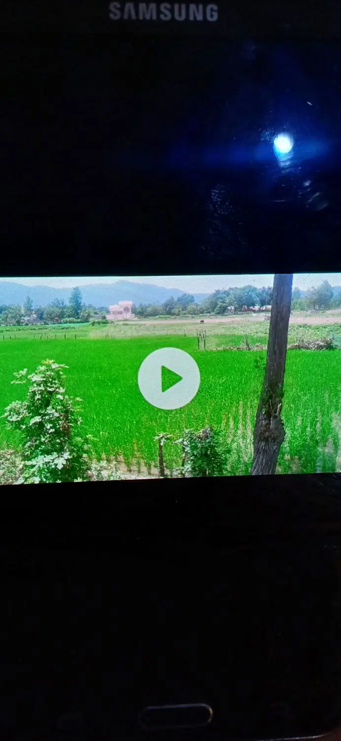 اکازیون..۵۰۰۰متر زمین شالی و ویلایی با مجوز
