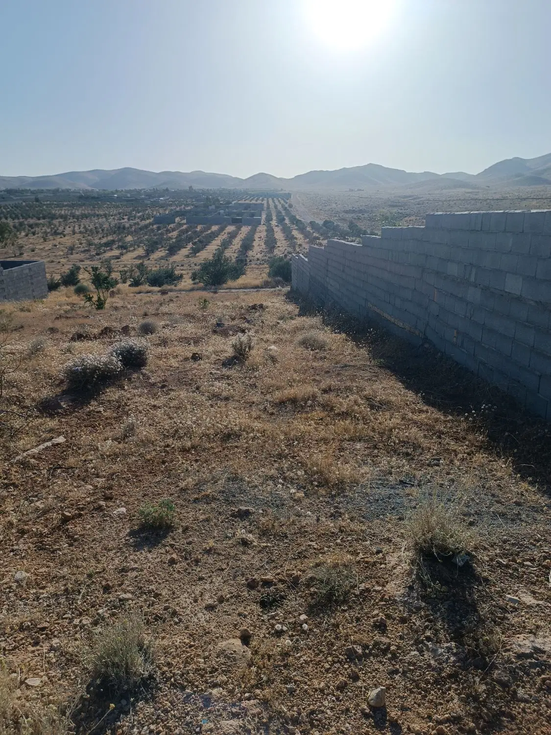 زمین باغشهری