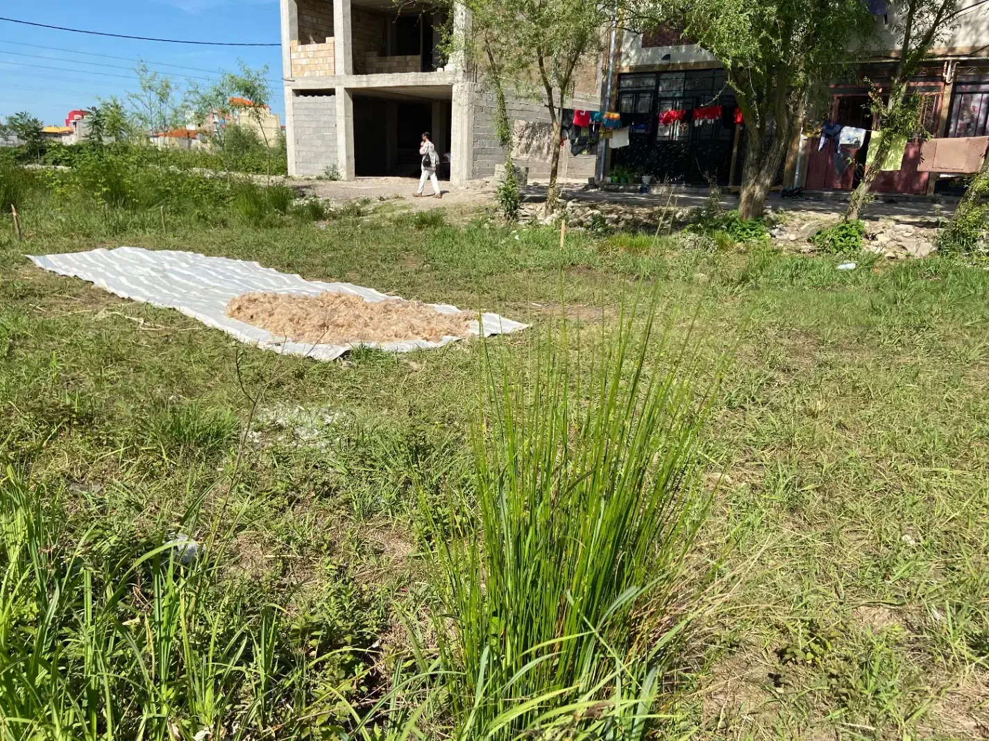 زمین گلها