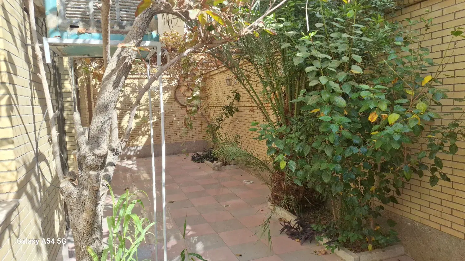 اجاره آپارتمان یک خوابه حیاط اختصاصی