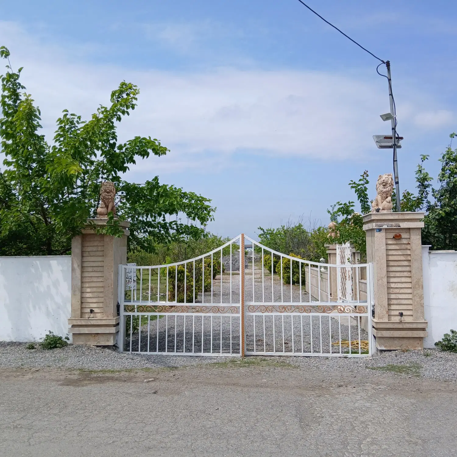 زمین