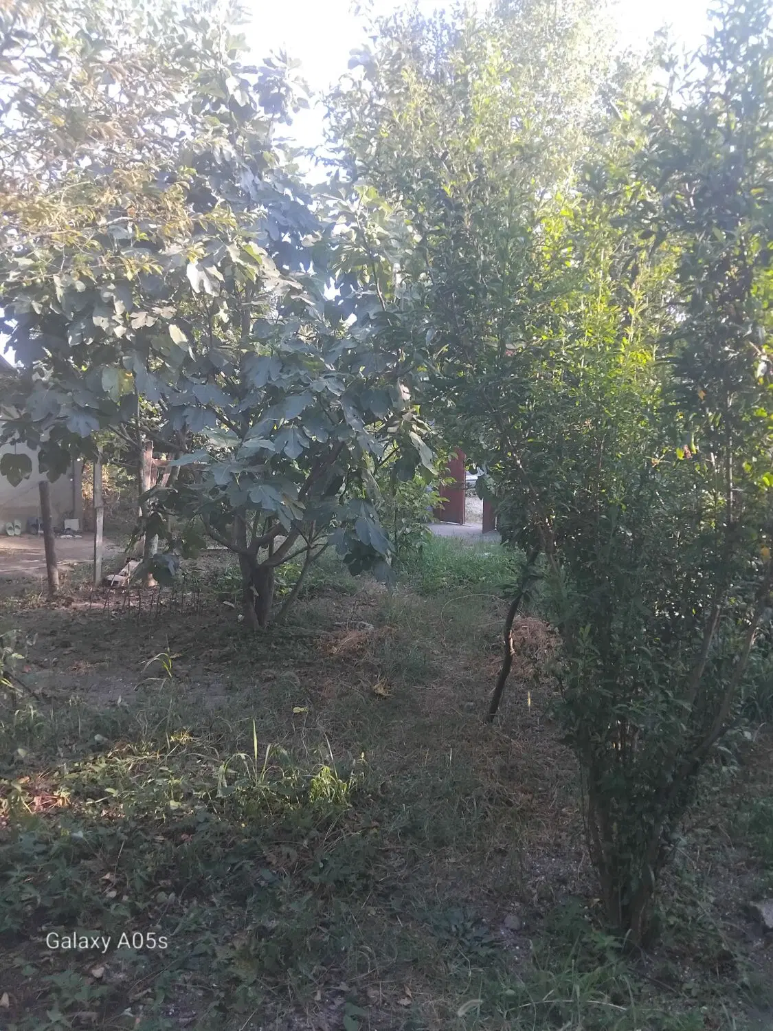 زمین برای ساخت ویلا