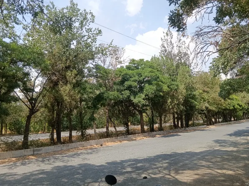 زمین مسکونی عقیل آباد