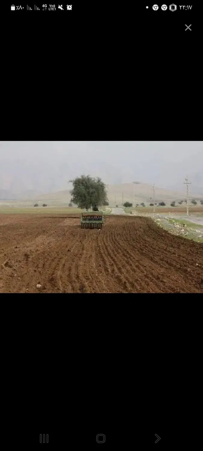 زمین کشاورزی دیم اجاره میکنم