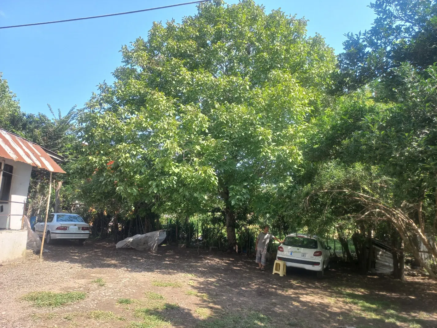 اجاره خانه روستایی گلسرک گیلان رشت