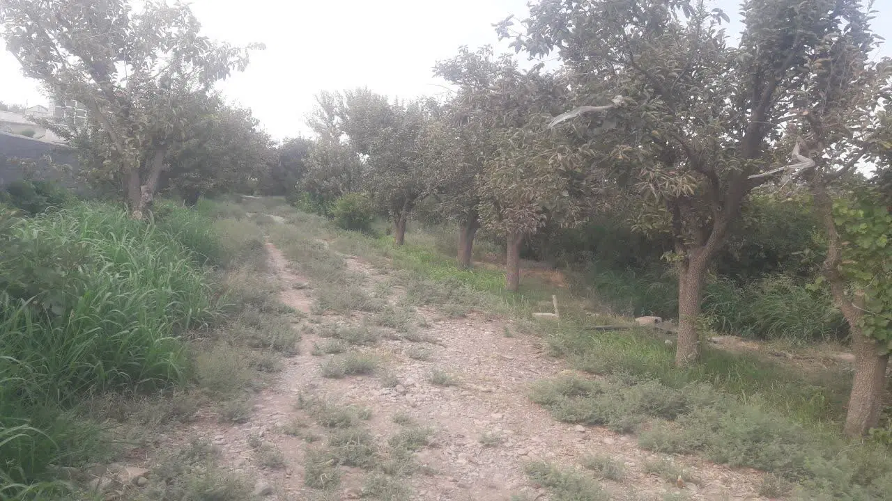 زمین و باغ زراعی در پیشوای ورامین،محمد آباد عربها
