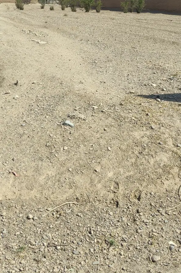 زمین مسکونی