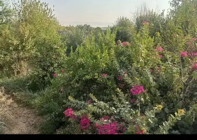 زمین فروش