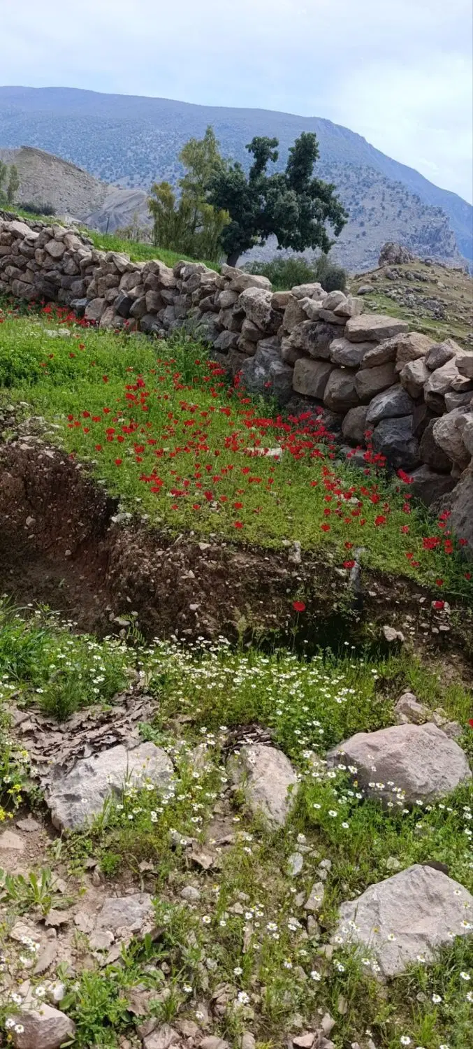 فروش زمین در روستای بردگپی