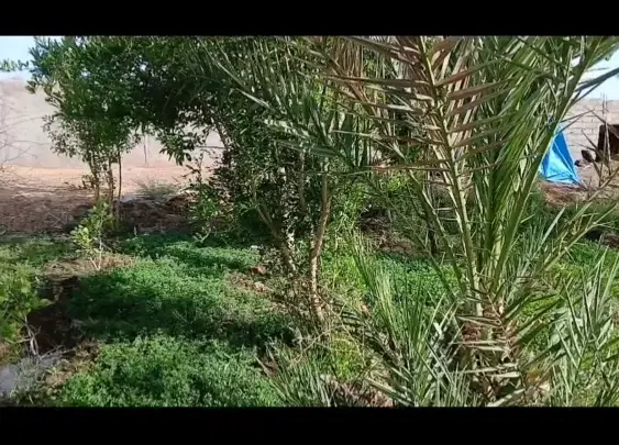 خانه در تاج اباد