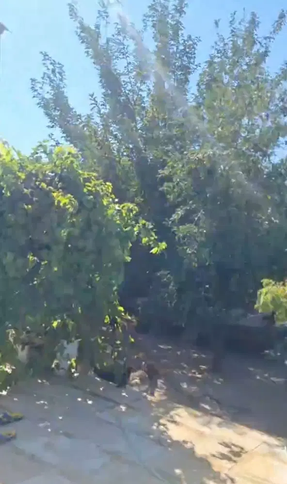 اجاره خانه باغی(ویلایی) ۶۰۰ متر