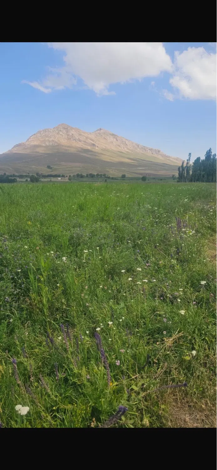 دو قطعه زمین باغی