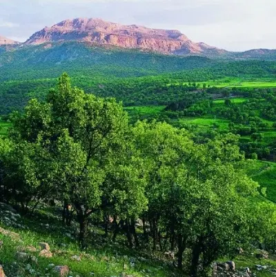 باغ منطقه گردشگری تاف