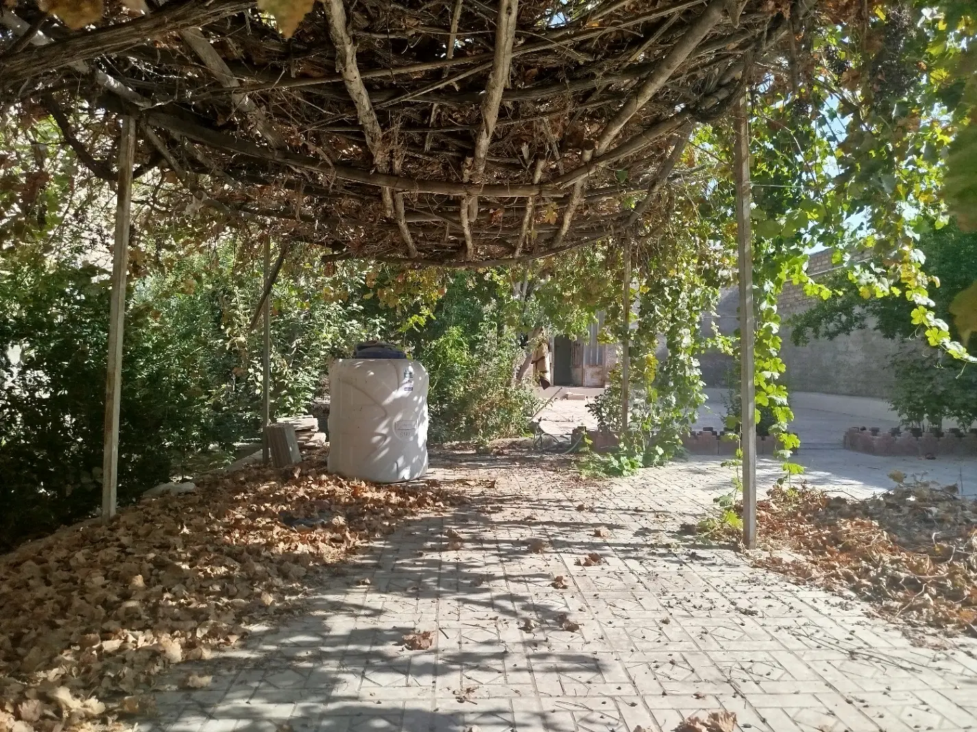 زمین مسکونی کرمان