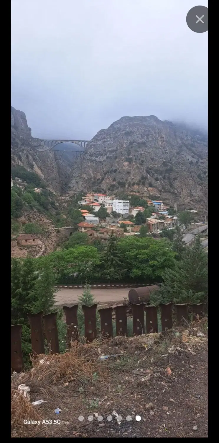 همخانه خانم
