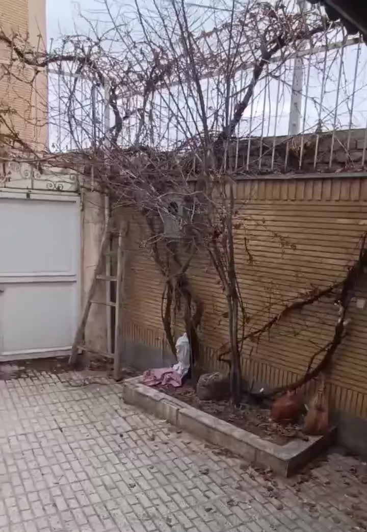 منزل ویلایی ابریشم ۴کوچه ذنبق