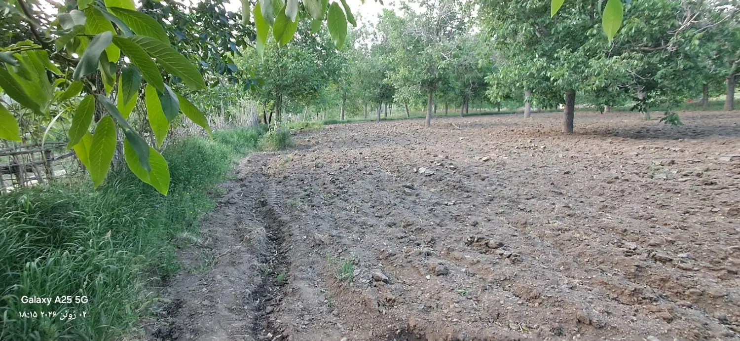 زمین فروشی در یلفان