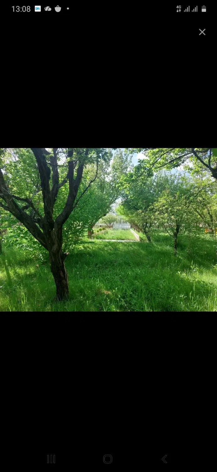 باغ شهر تلاش