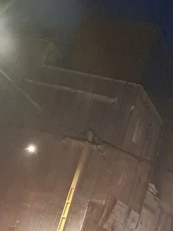 هم خانه