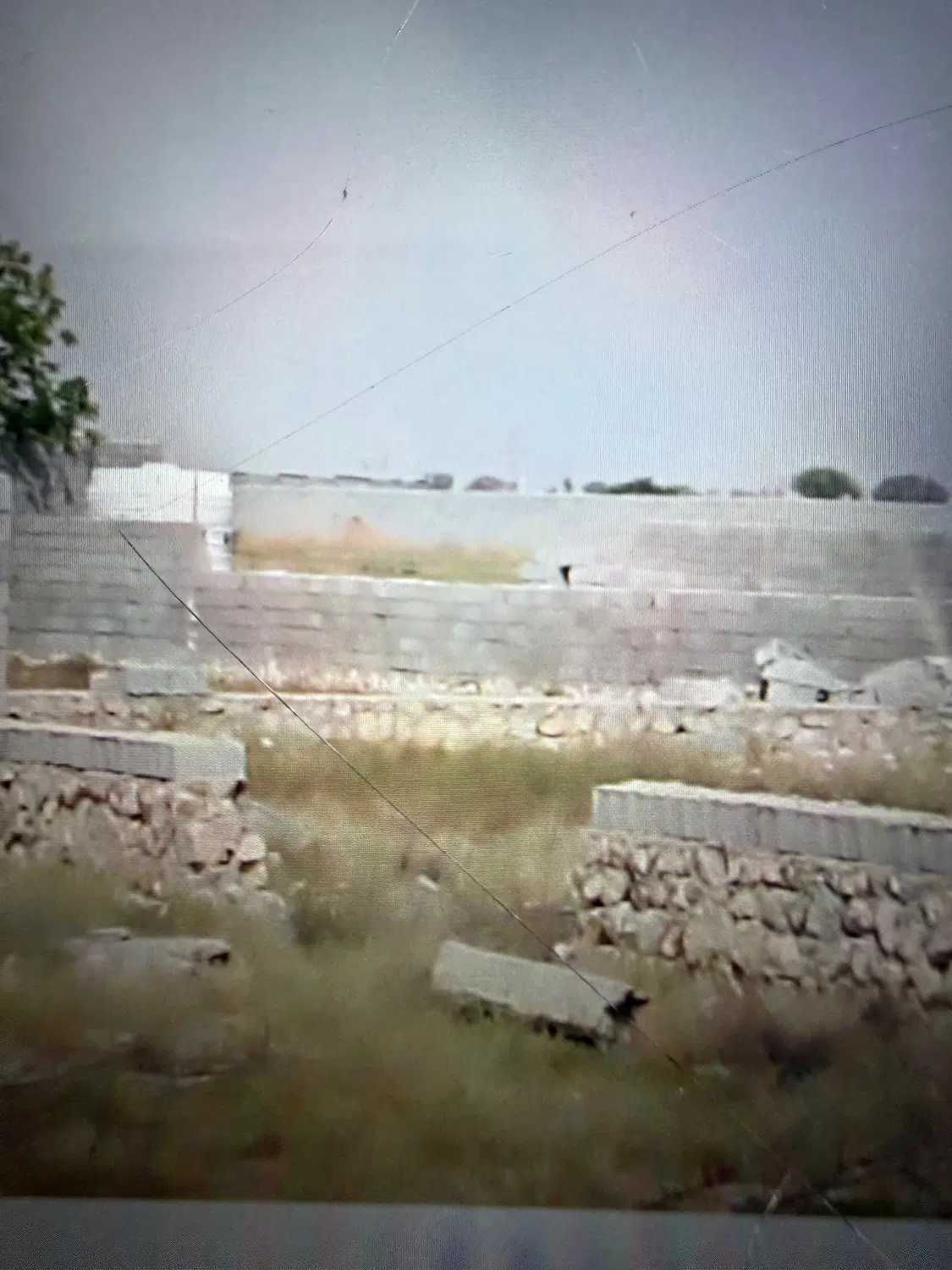 زمین باغی