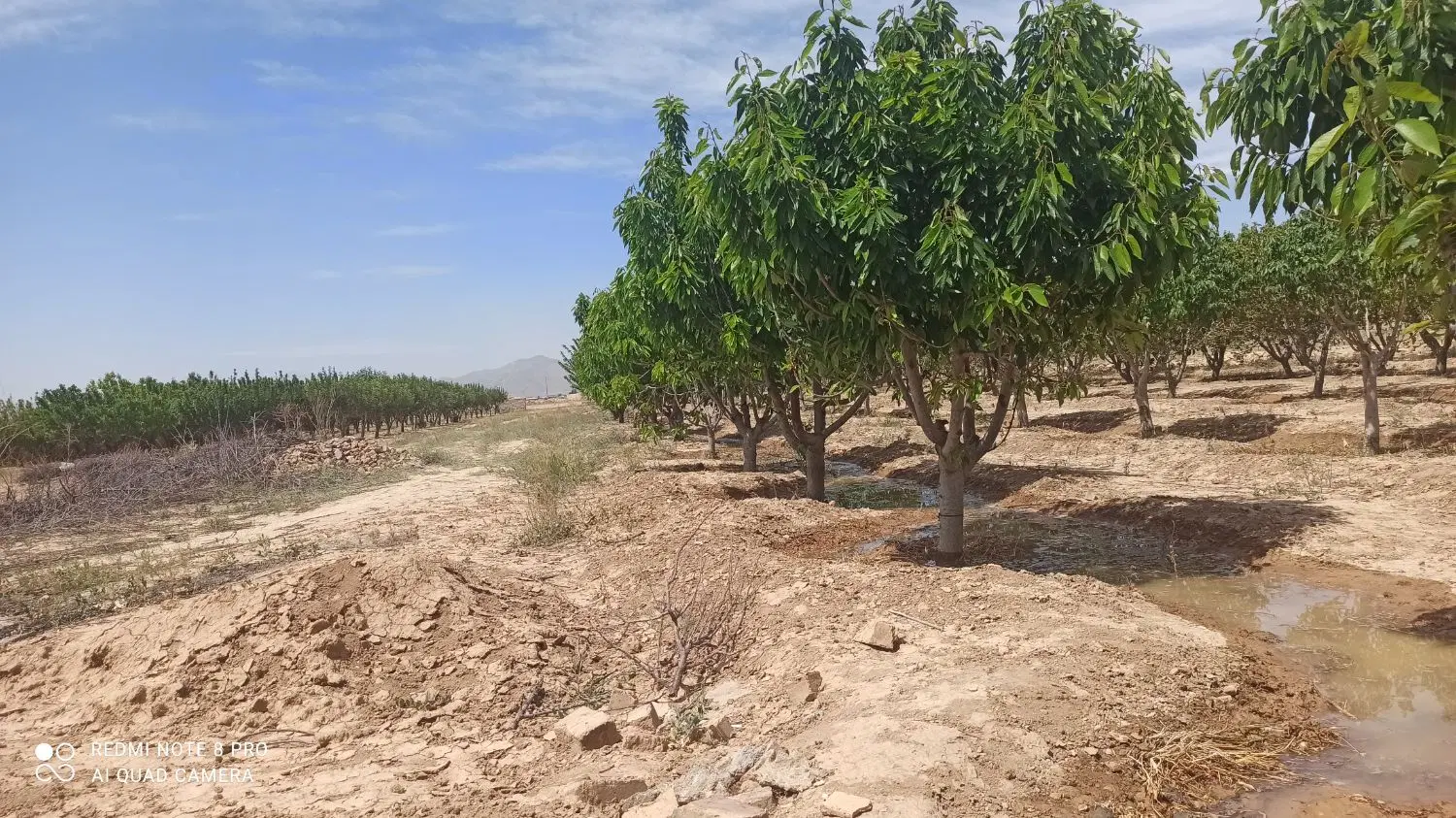 زمین شهرکی