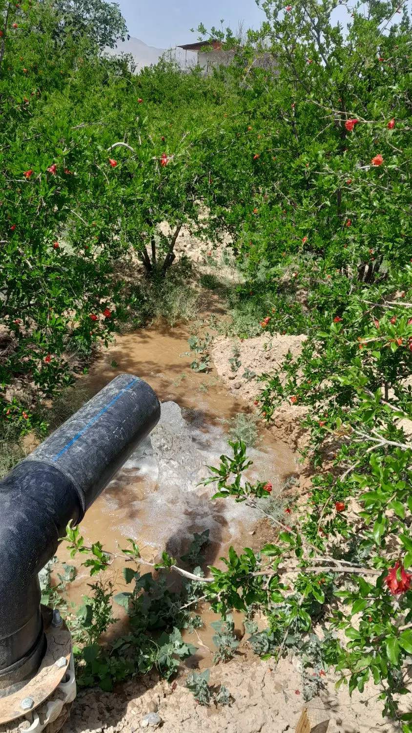 باغ شرایطی.