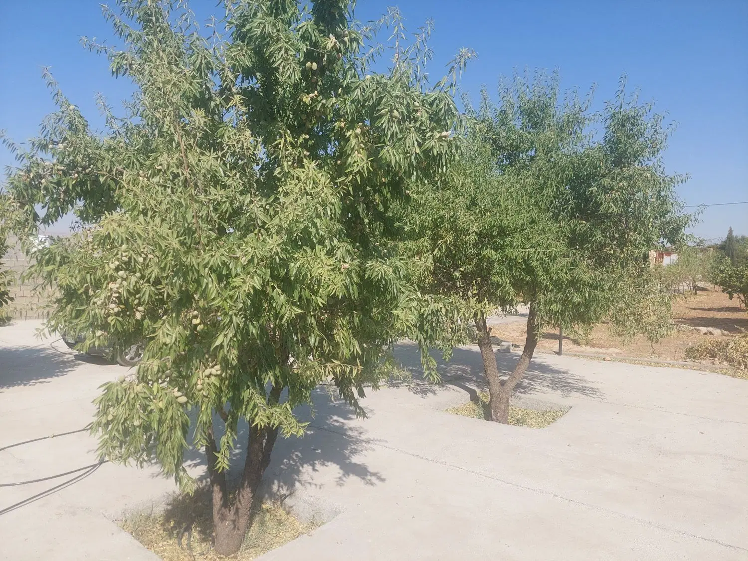 باغچه فول امکانات، ویلا، آب، برق و نزدیگ شیراز