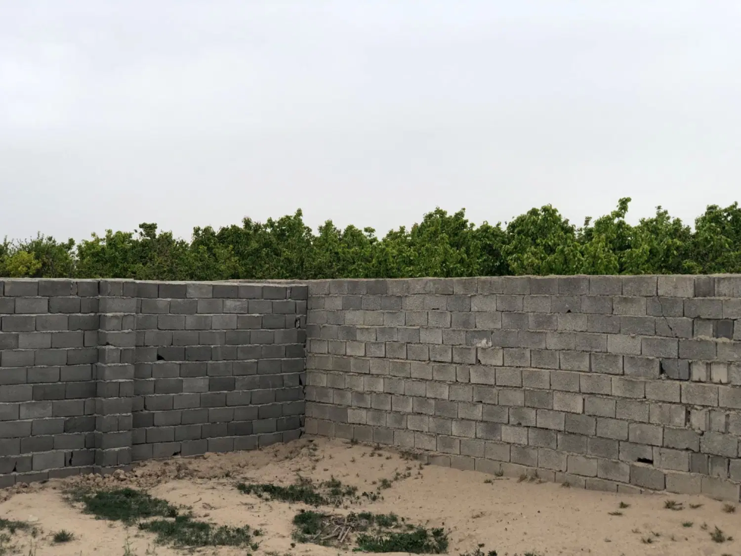 باغ وباغچه ویلا ۲۵۰ متری