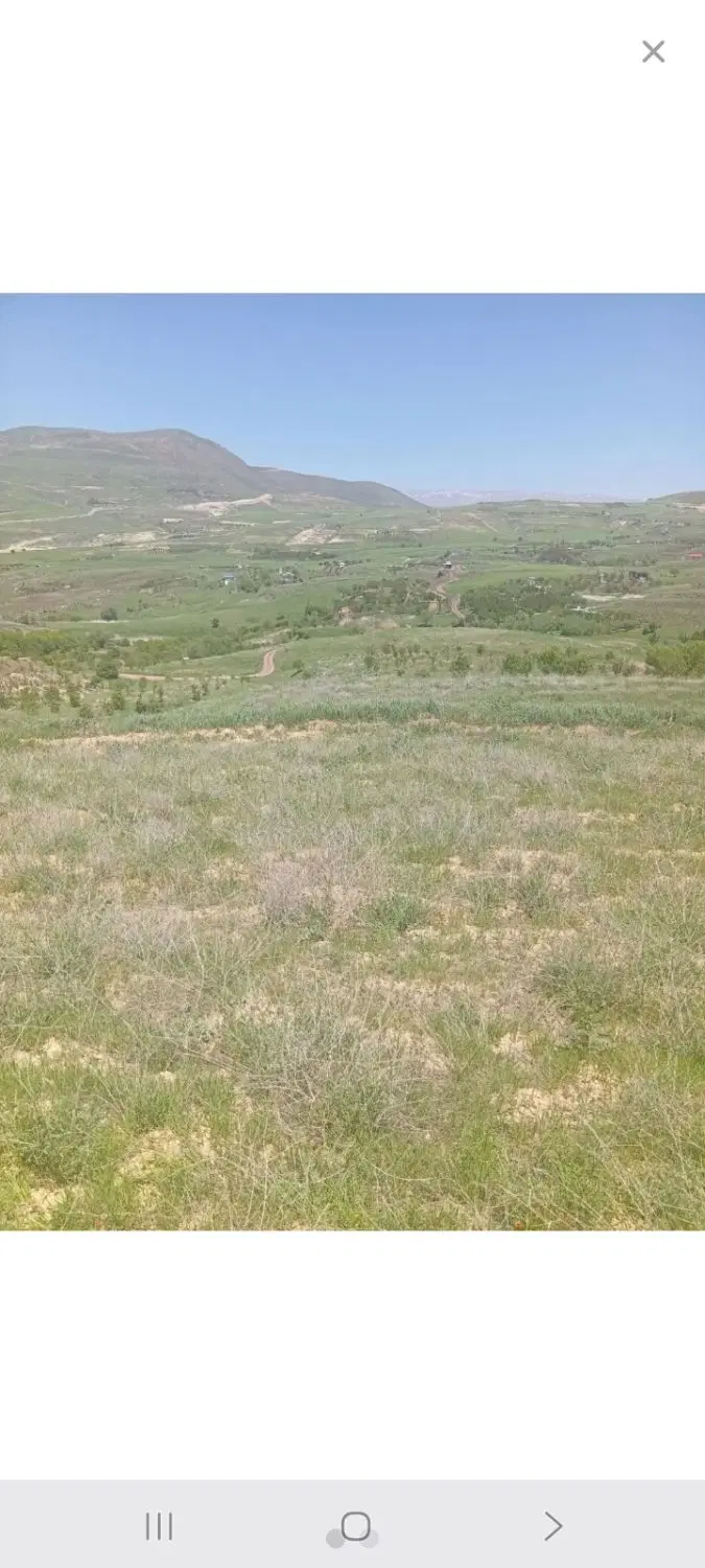 زمین کشاورزی
