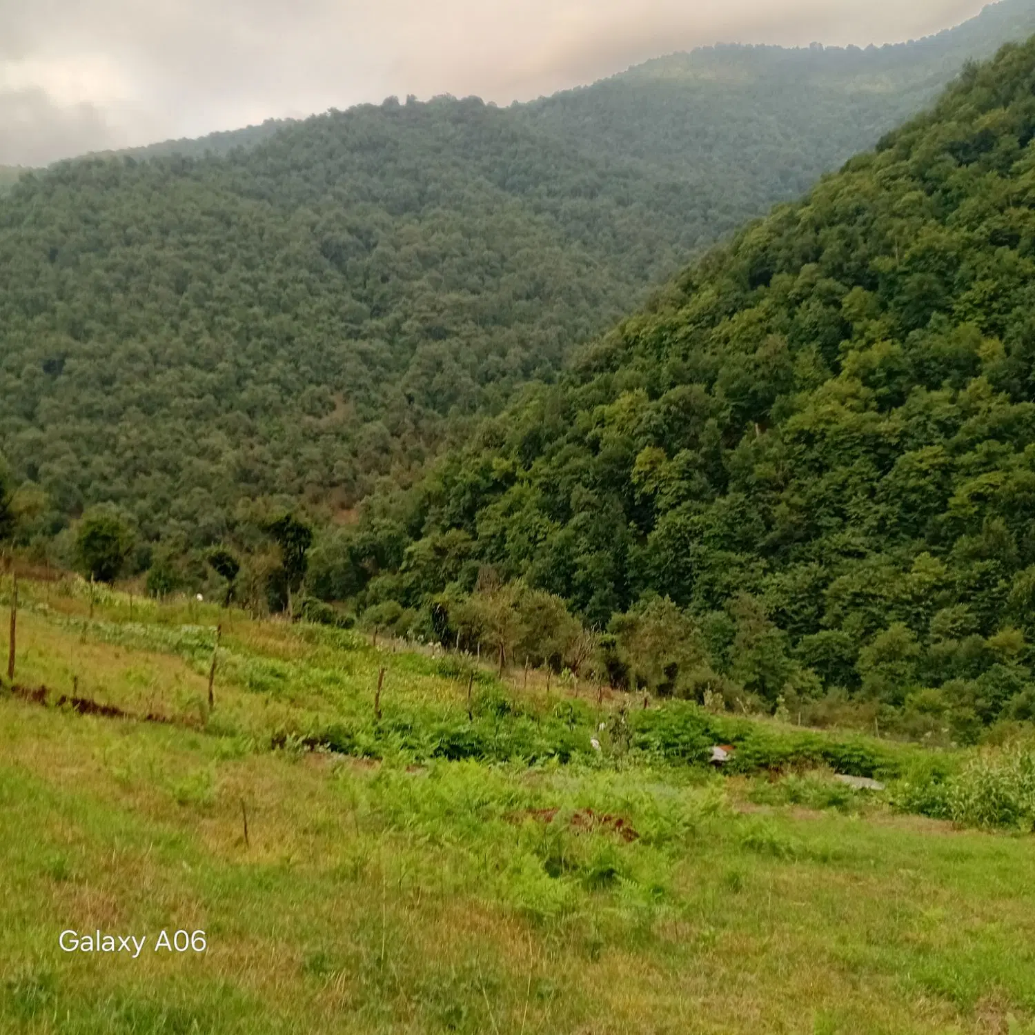یک قطعه زمین ییلاقی روشنده