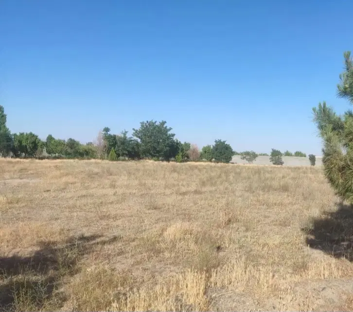 باغستان ثامن