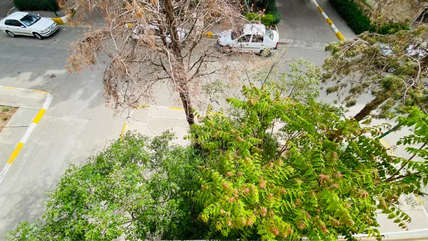 فاز ۳ مارلیک آپارتمان ۳ خواب