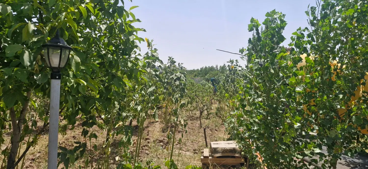 باغ ویلا