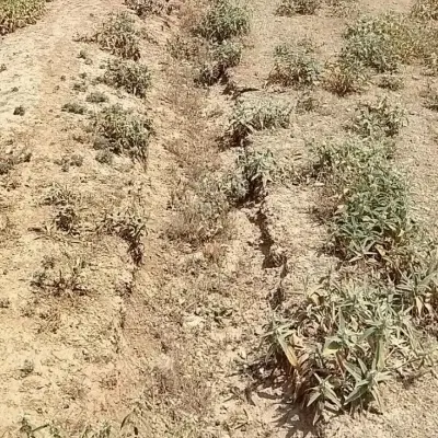 زمین روستای دوین