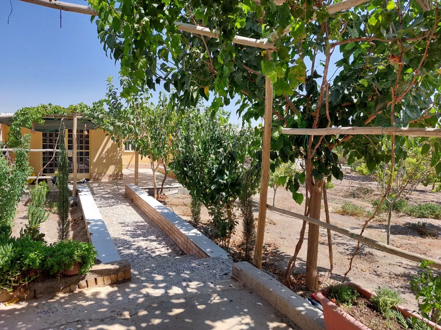 باغ شهری ۶۲۰ متری ناژوان