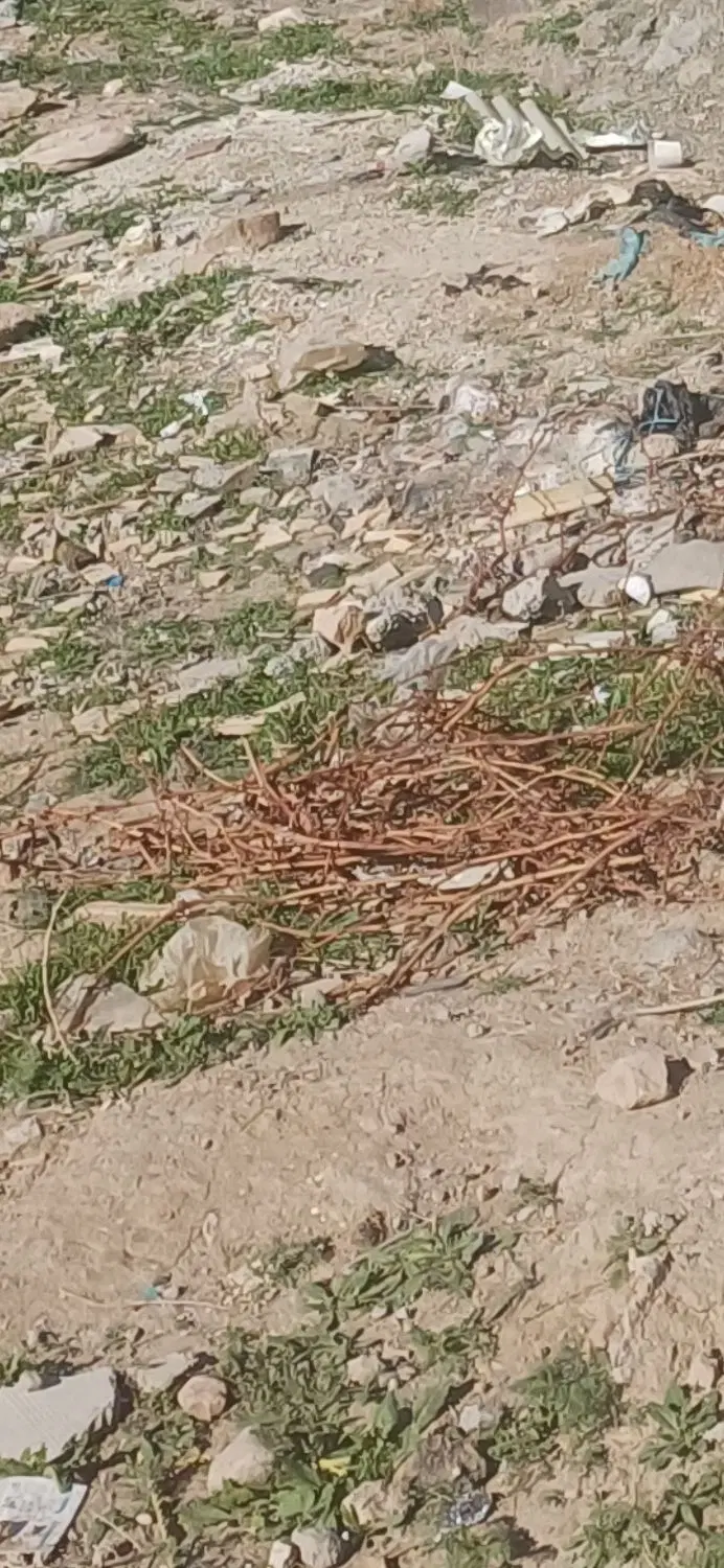 قطعه ۱۲۰متری اول چاوان کوی عمارت