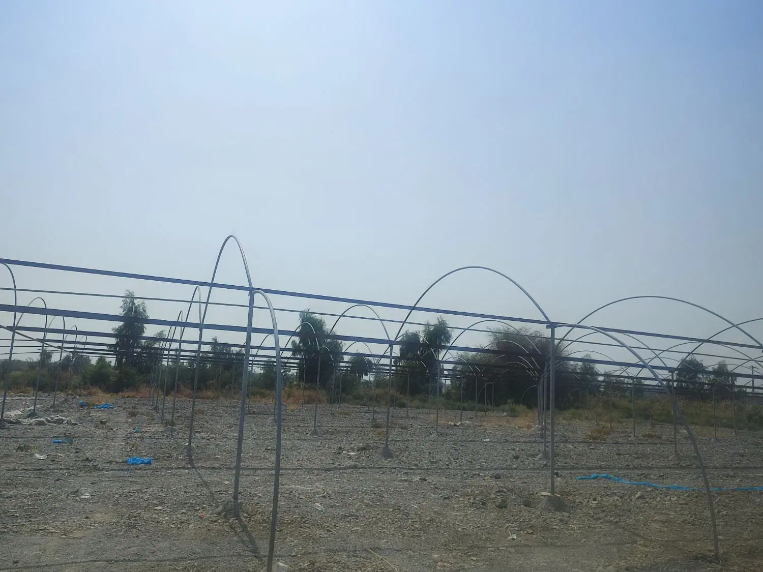 اجاره گلخانه