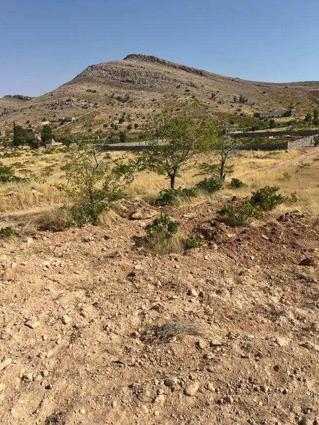باغشهری سعدی با سند تفکیک شده