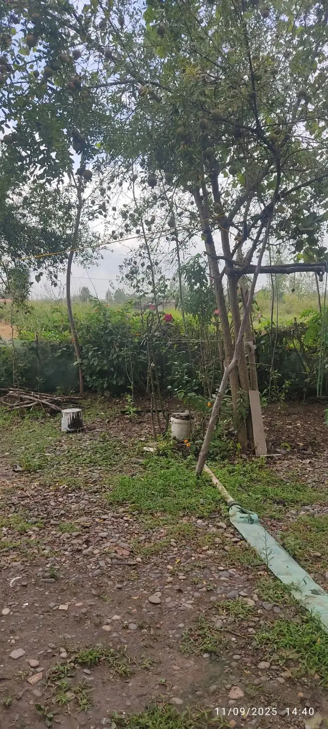 فروش زمین 337 متر  سنگر روستای شیخعلی بست