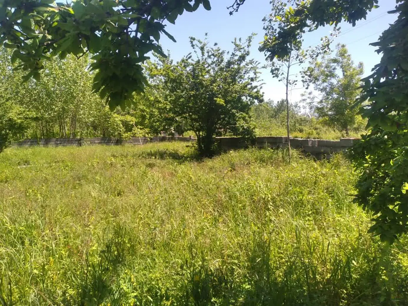 زمین مسکونی