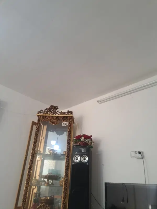 65متری
