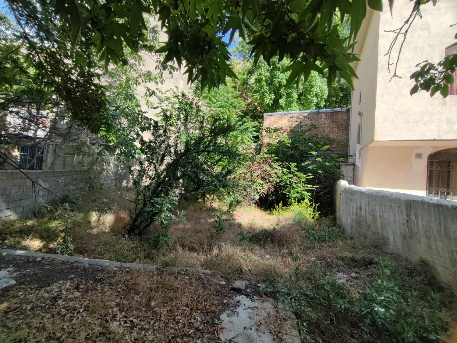 زمین و باغچه