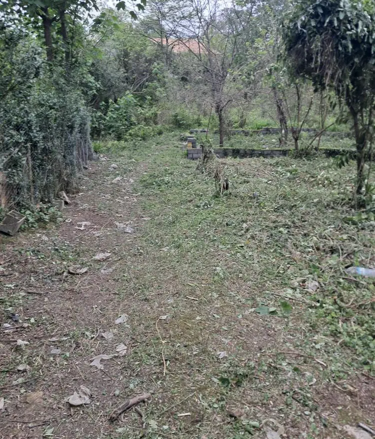 زمین ۱۰۰ متر‌ نشتارود