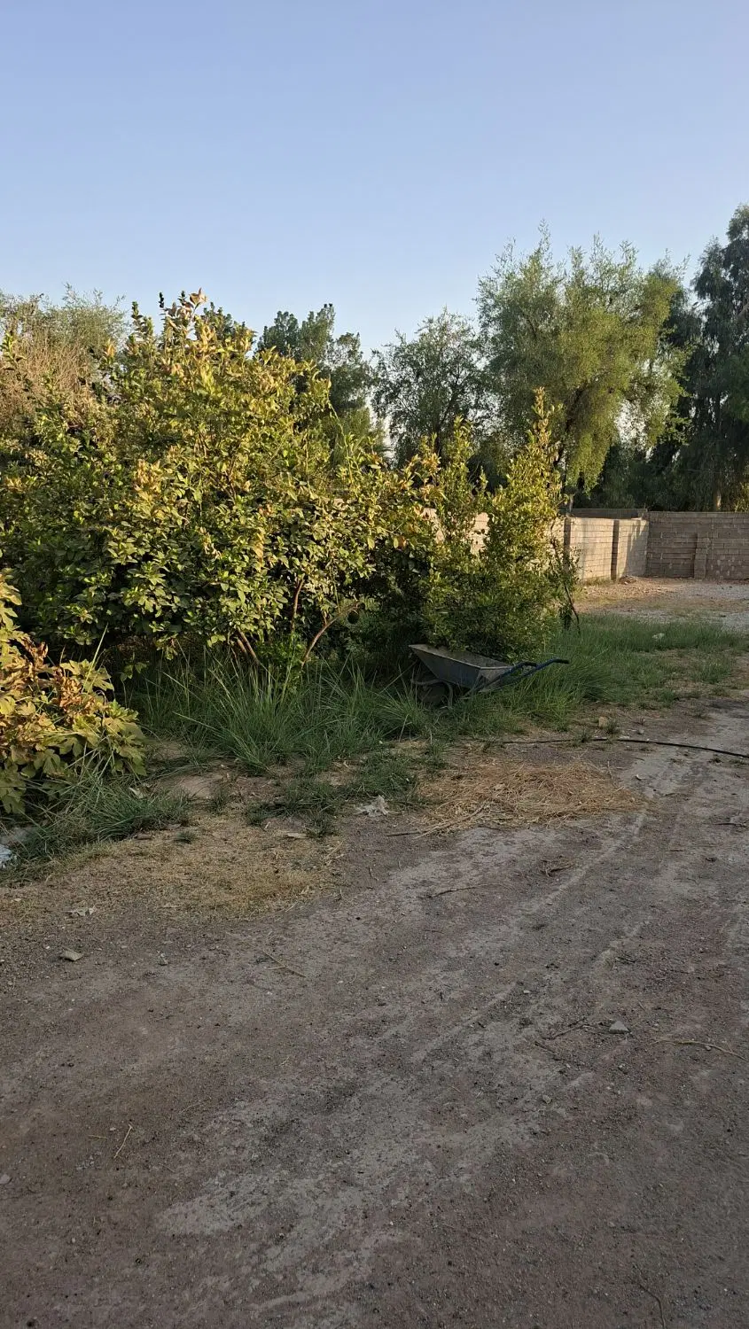 کارگاه.برق ۳فاز.جاده اصلی