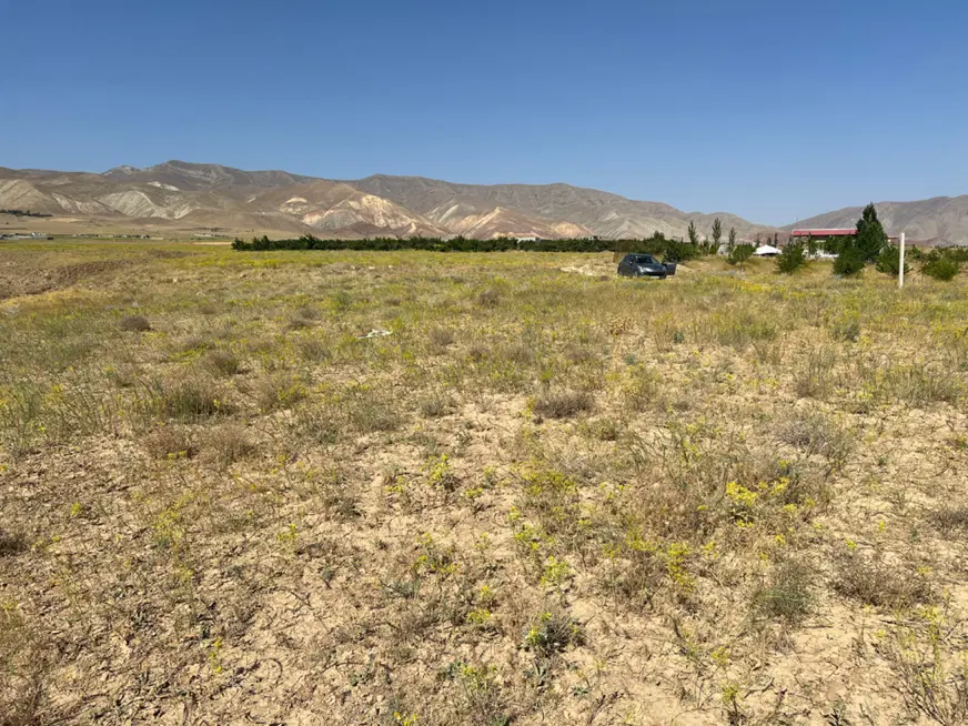 زمین کشاورزی